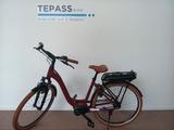 Riese & Müller Swing4 rücktritt - Riese & Müller E-Bikes