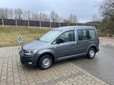 Volkswagen Caddy 2.0 TDI Euro 6 Behindertengerecht - VW Caddy Maxi von privat