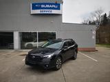 Subaru Outback 2.5i Platinum Black Navi HK Leder Braun - Subaru Outback BR