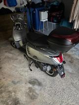 Andere Alpha Motors Roller 50ccm - ROLLER 50 CCM