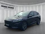 Ford Kuga ST-Line X 2.5 FHEV Aut. | LED | Pano | ACC - Ford Kuga FHEV Gebrauchtwagen