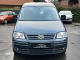 Volkswagen Caddy Life Gewinner Caddy, AHK, S-Heft, TÜV - Volkswagen Caddy: Gewinner