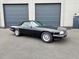 Jaguar XJS 5.3 HE V12 Convertible - HU neu - Jaguar XJS: V12
