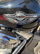 Harley-Davidson Softail 100 Jahre Sondermodell  - HARLEY-DAVIDSON 2004 SOFTAIL