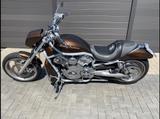 Harley-Davidson VRSCA V-Rod - Offers matching your search criteria