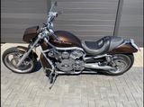 Harley-Davidson VRSCA V-Rod - 2002 V ROD