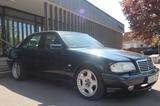 Mercedes-Benz C 43 AMG C 43/Sammler/Leder/Motor Getriebe 1a - gebrauchte Mercedes-Benz C 43 AMG aus dem Jahr 1998