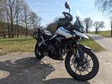 Triumph Tiger 900 GT Pro, Tankrucksack,Kofferträger  - TRIUMPH TIGER 900 GT