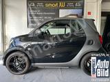 Smart Cabrio 122 PS BRABUS Tailor Made AHK Leder Navi - Smart: Brabus Tailor Made