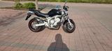 Yamaha Fz6n  TUV NEU !!! - Offers matching your search criteria