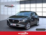 Mazda CX-30 2.5 e-SKYACTIV-G Takumi 2WD Automatik Navi - Mazda CX-30 Takumi mit Benzin-Antrieb