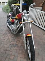 Suzuki VS800 USA Schopper - SUZUKI VS800