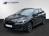 Subaru XV 1.6i AWD CVT Exclusive LED SHZ Navi Kamera - : Cvt