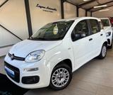 Fiat Panda 1.2 8V Easy  *1.HAND/42.000KM* - gebrauchte Fiat Panda aus dem Jahr 2017