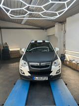 Opel Antara 2.2 CDTI Cosmo 4x4 135kW Automatik Cosmo - Opel Antara aus 2014