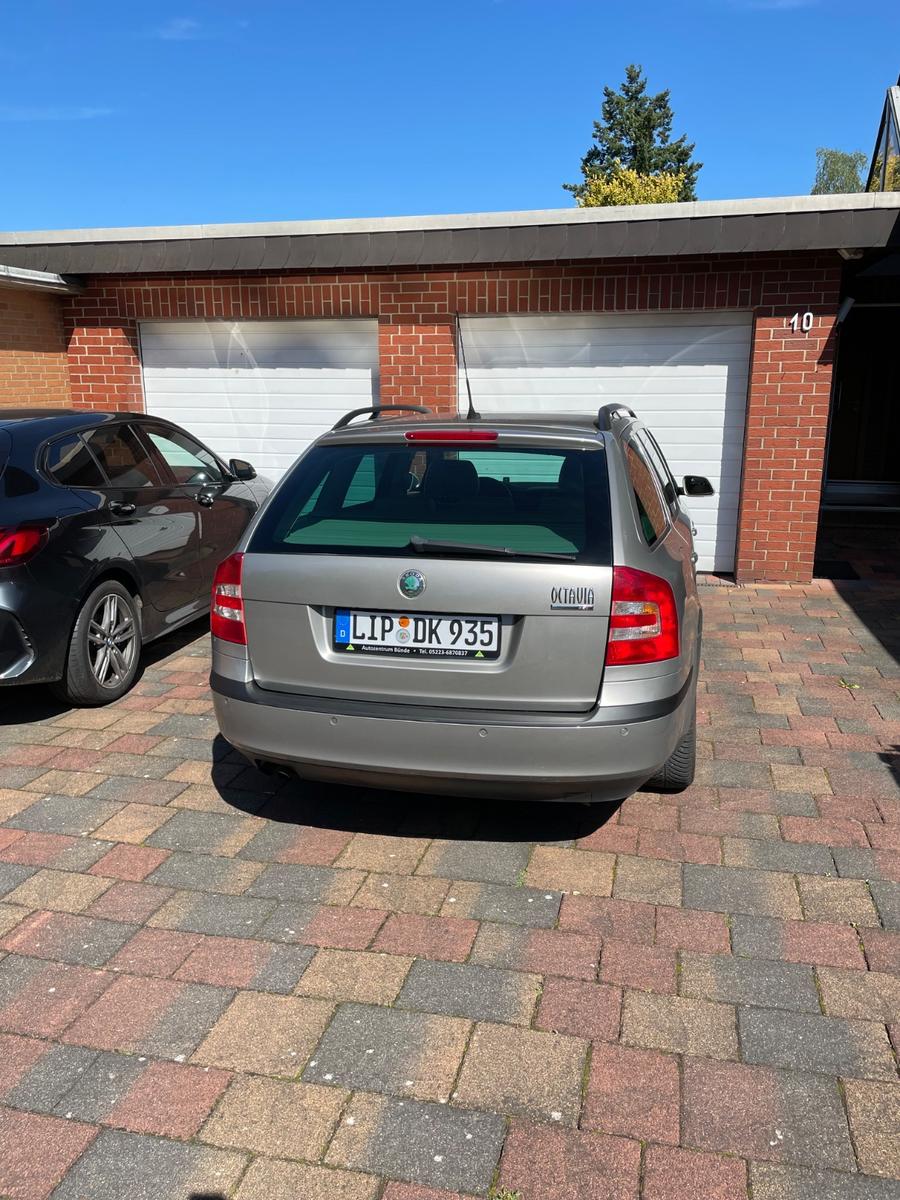 Skoda Octavia 2006 — rear view
