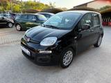 Fiat Panda 1.0 FireFly S&S Hybrid Km Certificati - Fiat Panda: Km H