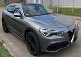 Alfa Romeo Stelvio 2.0 Turbo 16V 206kW Super AT8-Q4 Super - Alfa Romeo Gebrauchtwagen in Freiburg