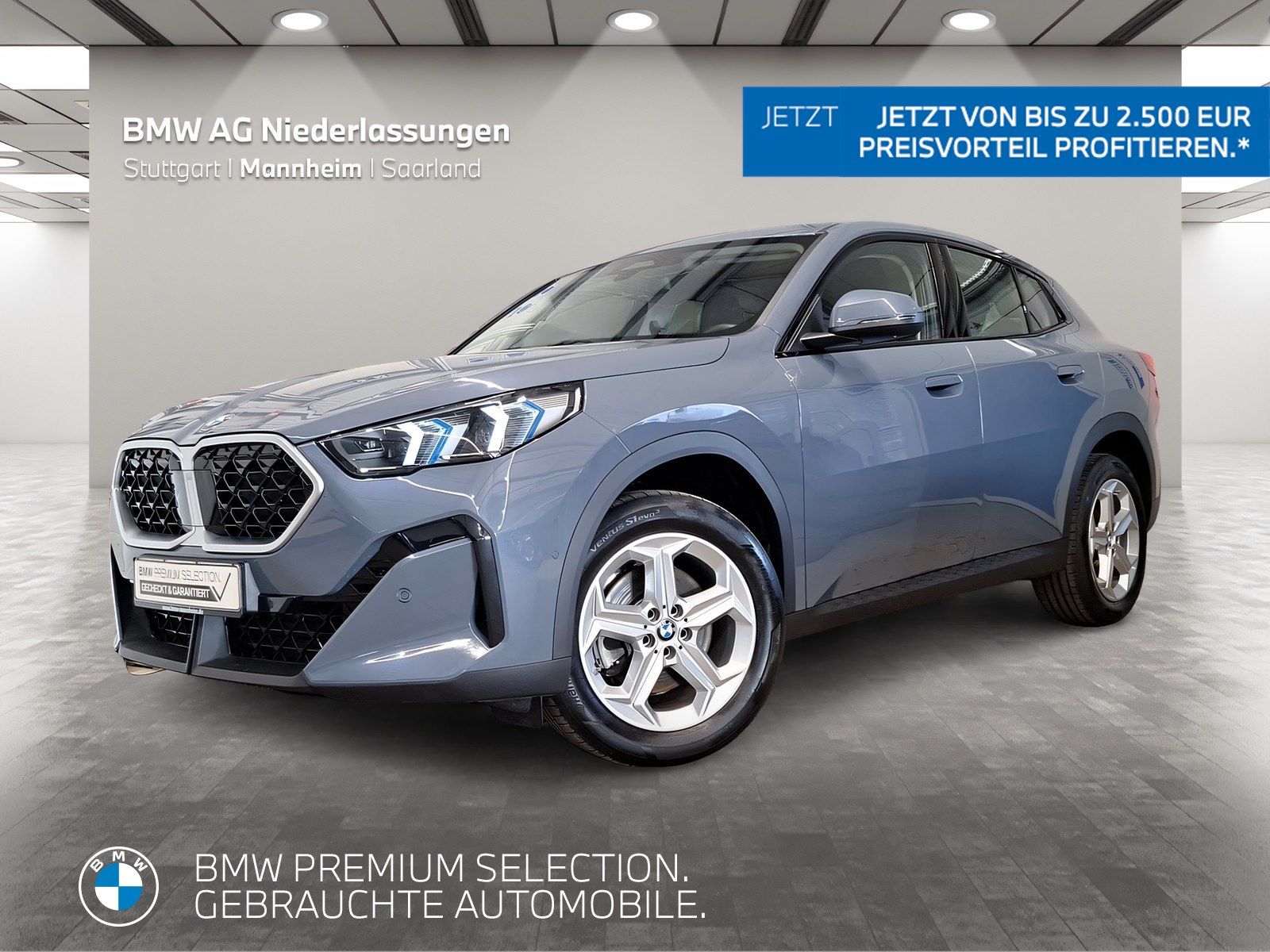BMW X2 sDrive20i Kamera Driv.Assist LED Sitzheizung