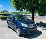 Fiat Panda Lounge - Fiat Gebrauchtwagen in Bielefeld