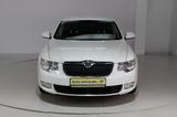 Skoda Superb 1.4 TSI Ambition * Bi-Xenon * Memory - Skoda Superb Ambition mit Benzin-Antrieb