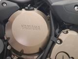 Yamaha XJ6 TÜV/AU neu inkl. neuer Service - Angebote
