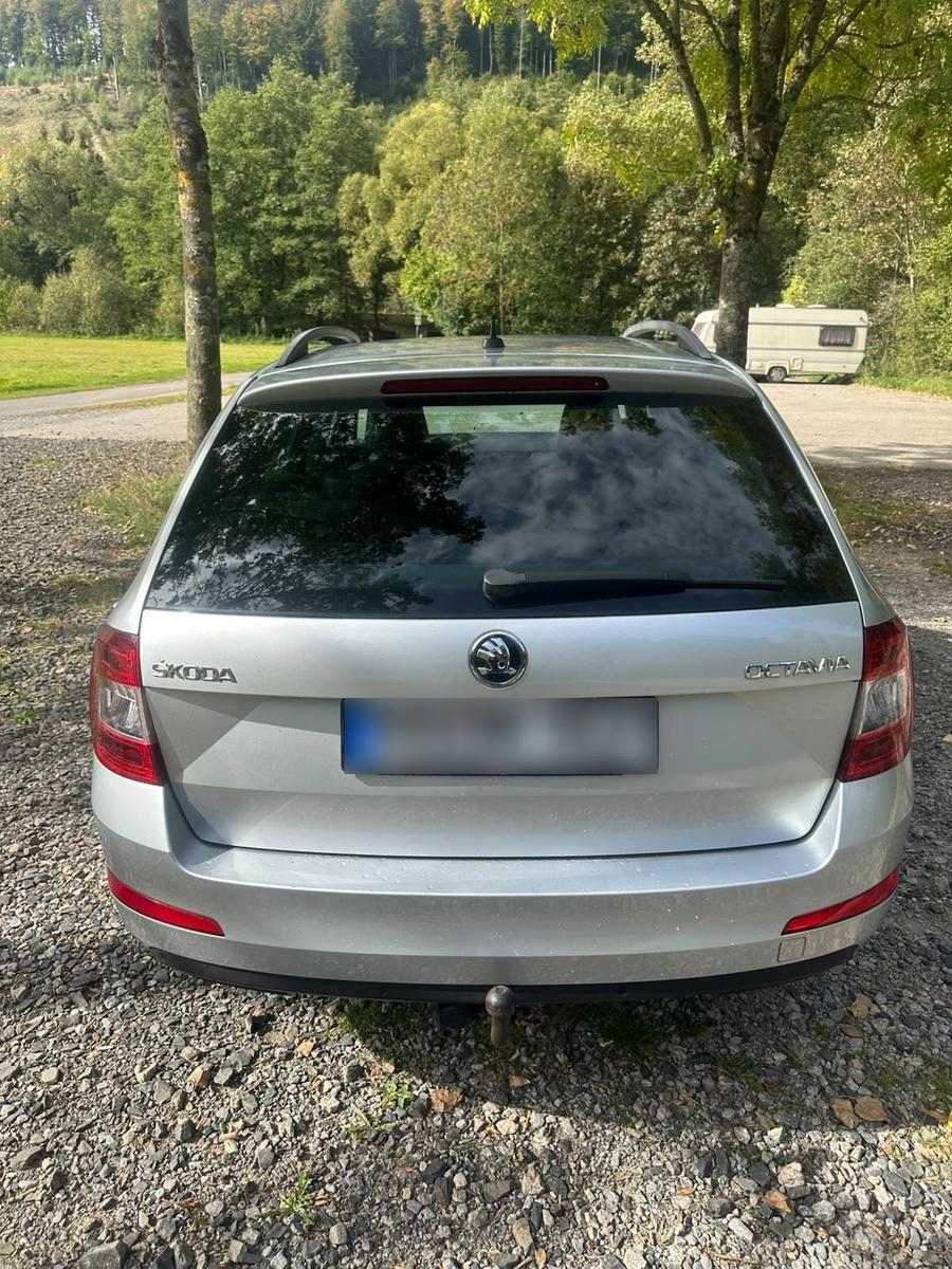 Skoda Octavia 2015 — rear view