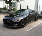 Ford Mustang GT 5.0 V8 US Performance Package+Klappe - Ford Mustang: Performance