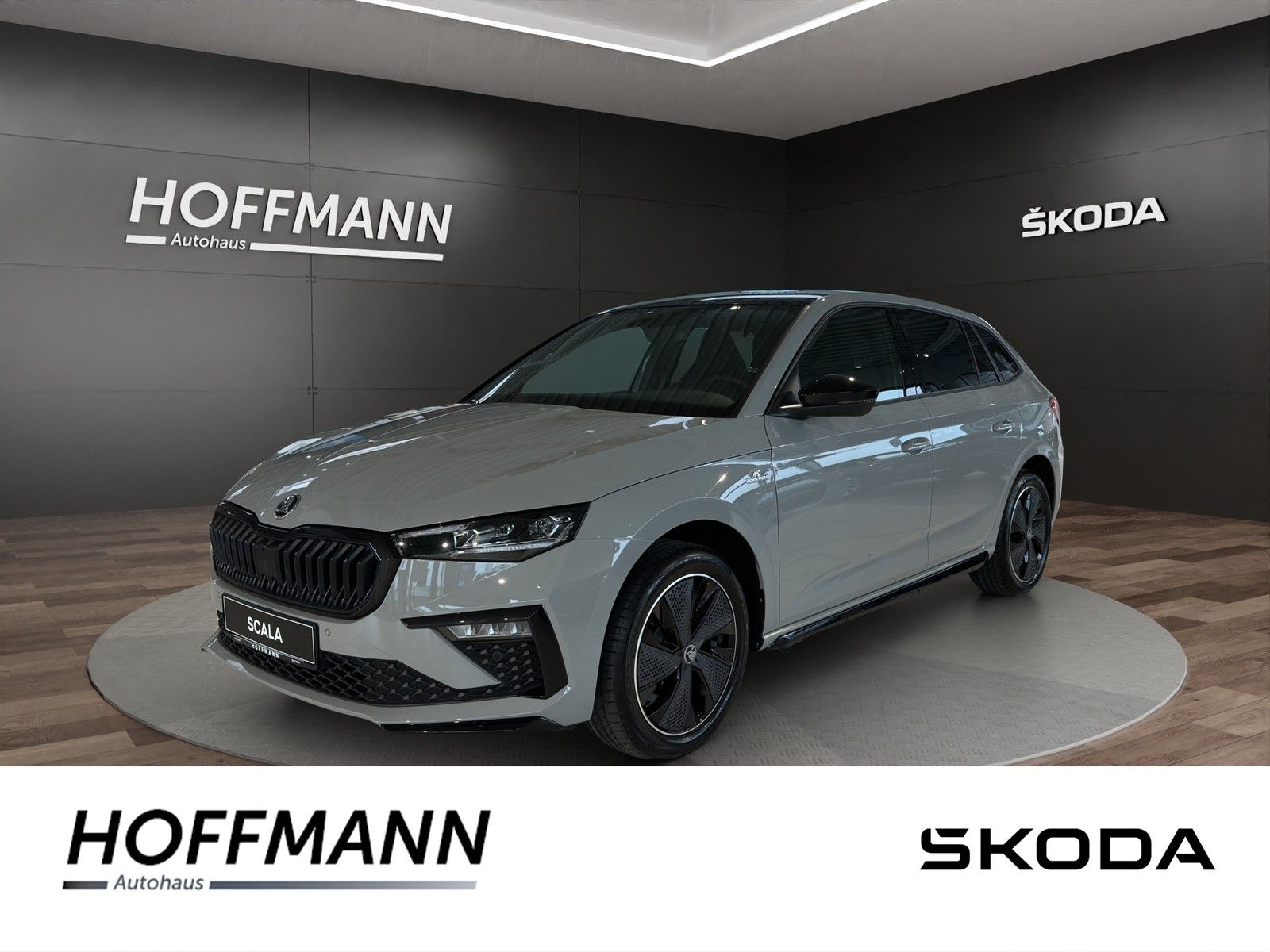 Fahrzeugbild von Skoda Scala