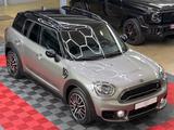 MINI Countryman S Chili Harman-Kardon Navi Leder LED - silberne MINI Countryman Serie
