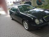 Mercedes-Benz CLK 230 KOMPRESSOR ELEGANCE Elegance - Mercedes-Benz CLK 230 in Dortmund