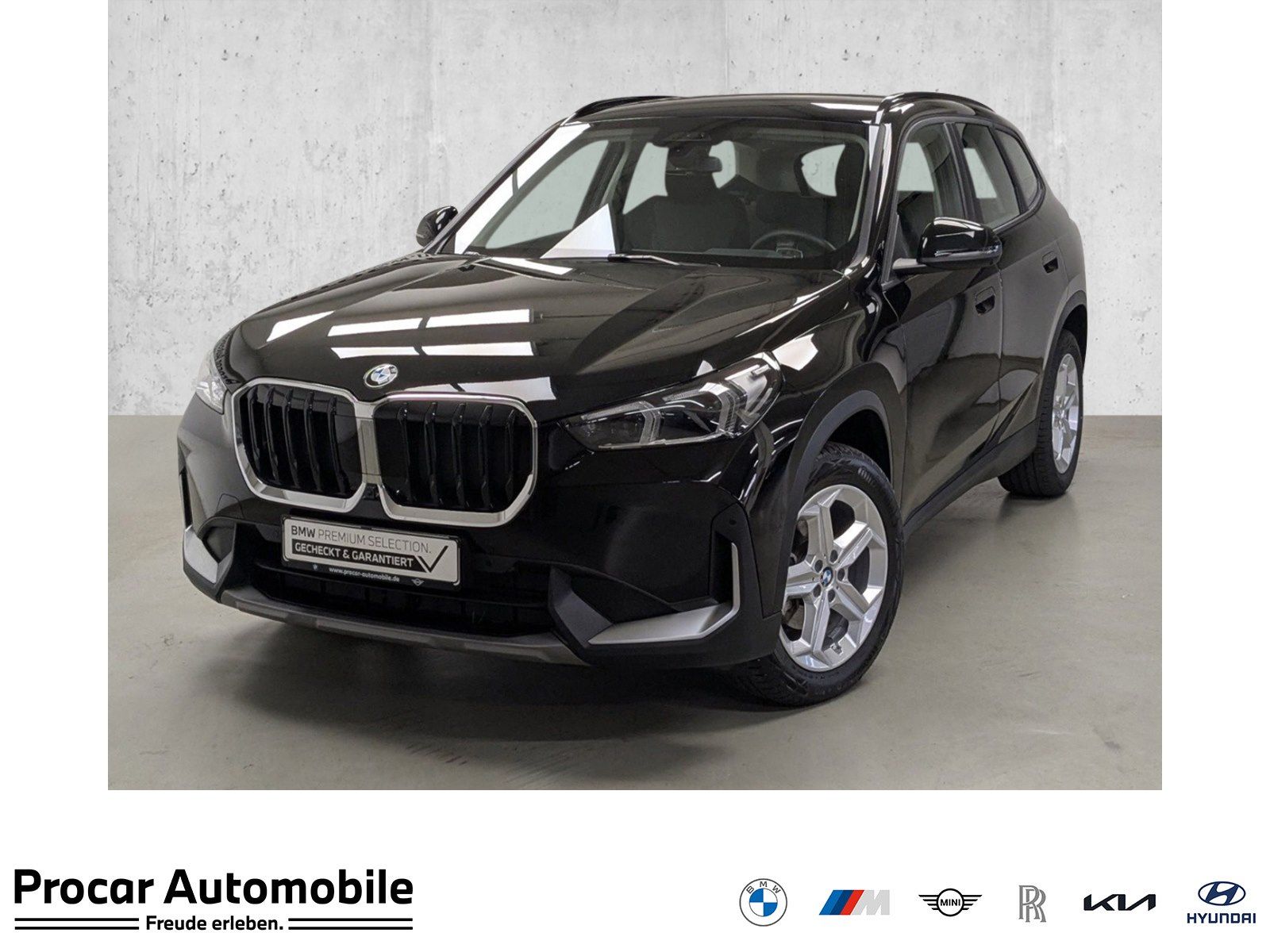 BMW X1 xDrive20d DA Prof PA HuD ACC 360° AdapLED foto 1