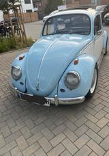 Volkswagen Käfer - Volkswagen Käfer in Duisburg