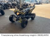 Aeon Cobra 424 SX EFI*Aktionspreis* - AEON COBRA