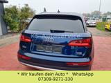 Audi Q5 quattro design Panoramadach/LED - Audi Q5 mit Benzin-Antrieb: Design