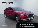 Mazda CX-30 e-SKYACTIV-G 2.0 M HYBR 150 SELECTION *AHK - Mazda CX-30 in Bielefeld