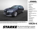 Skoda Octavia Combi 2.0 TDI DSG 4x4 Scout Pano AHK Sta - Skoda: Combi Scout