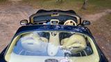 TVR Tuscan MK2 - TVR