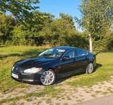 Jaguar XF 3.0 V6 Diesel S Premium Luxury - Jaguar XF aus 2010: Luxury