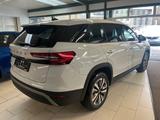 Skoda Kodiaq Selection 2.0 TDI 4x4 *AHK var.LB NAV KA - gebrauchte Skoda Kodiaq aus dem Jahr 2024