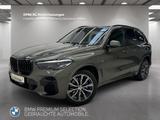 BMW X5 xDrive30d M Sport LiveCockpitProf Head-Up - BMW X5: Grün