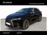 Lexus NX 450 h+ E-Four Business Line - Lexus NX 450h Tageszulassungen