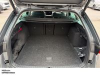 Skoda Octavia - Vorschau Bild 8