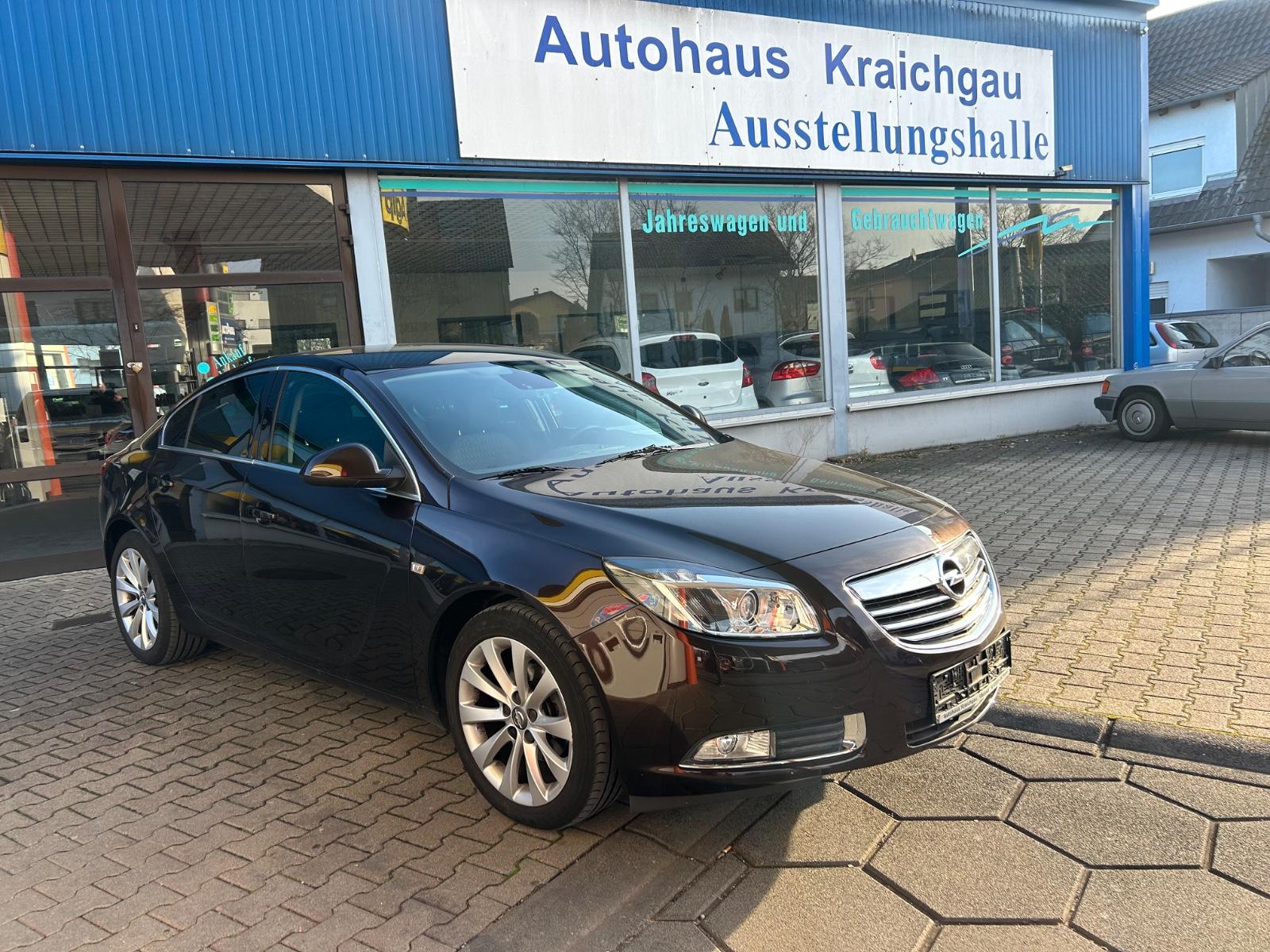 Opel Insignia A Lim. Active Bi-Xenon 12mo.Garantie