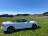 Audi A5 2.0 TDI 140kW Cabrio, AHK, S-Line - Audi A5 mit Diesel-Antrieb: Cabrio, 2.0