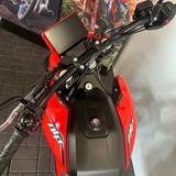 Beta ALP 4.0  - BETA MOTORRAD