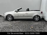 Volkswagen Golf 6 Cabriolet Tempomat Sitzheizung Windschott - Volkswagen Golf: Cabrio, Golf6