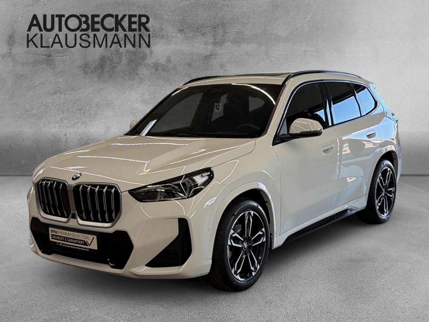 BMW X1 xDrive 20d M SPORT 19'' LC PROF HuD AHK PANO foto 1