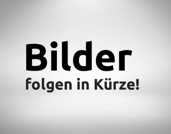 Ford Transit Custom Kasten 320 L2 Trend