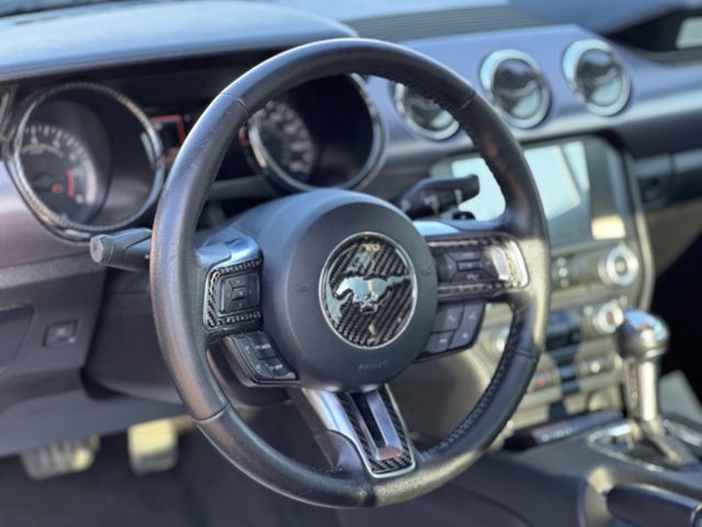 Ford Mustang  USA Shelby Optik